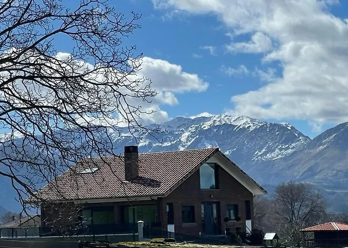 Corzos * 奥维耶多